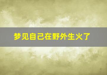 梦见自己在野外生火了