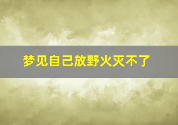 梦见自己放野火灭不了