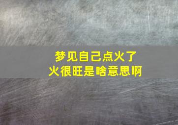 梦见自己点火了火很旺是啥意思啊