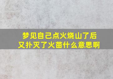 梦见自己点火烧山了后又扑灭了火苗什么意思啊