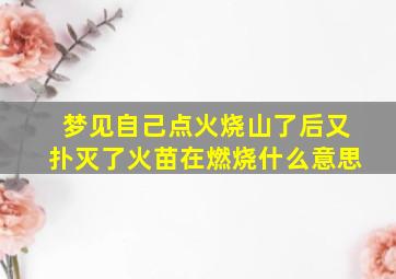 梦见自己点火烧山了后又扑灭了火苗在燃烧什么意思