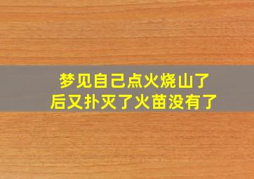 梦见自己点火烧山了后又扑灭了火苗没有了