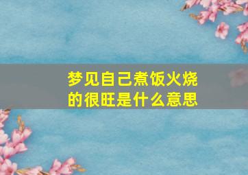 梦见自己煮饭火烧的很旺是什么意思