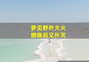 梦见野外大火燃烧后又扑灭