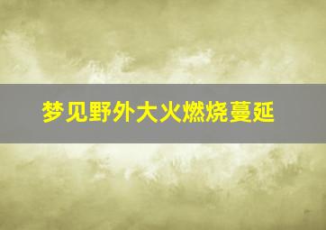 梦见野外大火燃烧蔓延