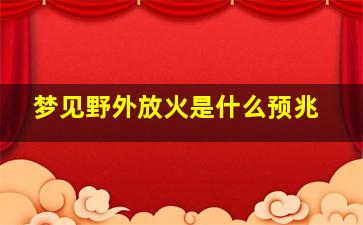 梦见野外放火是什么预兆