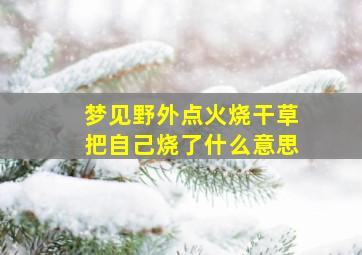 梦见野外点火烧干草把自己烧了什么意思