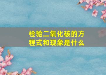 检验二氧化碳的方程式和现象是什么