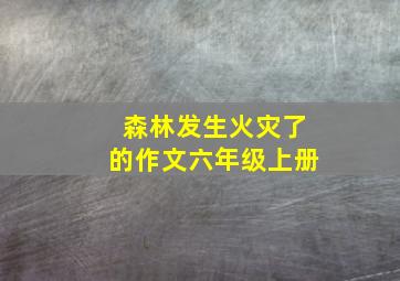 森林发生火灾了的作文六年级上册