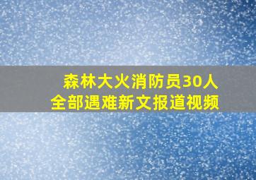 森林大火消防员30人全部遇难新文报道视频