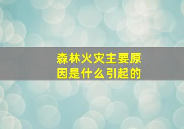 森林火灾主要原因是什么引起的