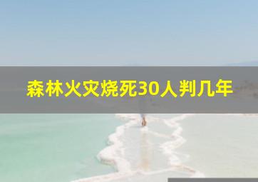 森林火灾烧死30人判几年