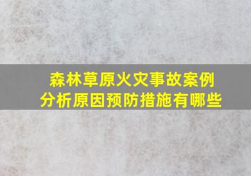 森林草原火灾事故案例分析原因预防措施有哪些