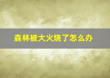 森林被大火烧了怎么办