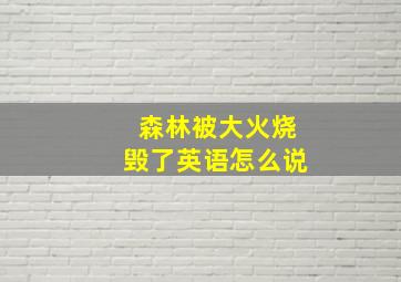 森林被大火烧毁了英语怎么说