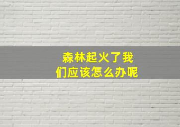 森林起火了我们应该怎么办呢