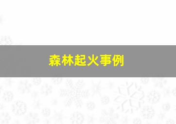 森林起火事例