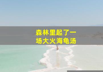 森林里起了一场大火海龟汤