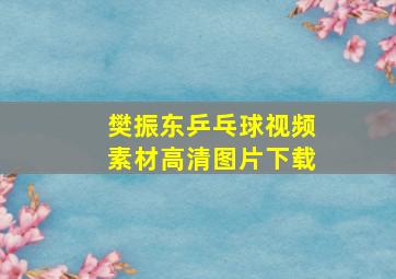 樊振东乒乓球视频素材高清图片下载