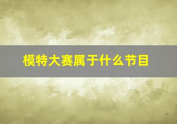 模特大赛属于什么节目