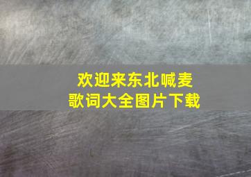 欢迎来东北喊麦歌词大全图片下载