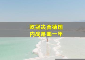 欧冠决赛德国内战是哪一年