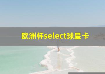 欧洲杯select球星卡