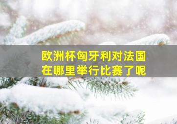 欧洲杯匈牙利对法国在哪里举行比赛了呢