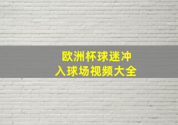 欧洲杯球迷冲入球场视频大全