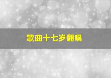 歌曲十七岁翻唱