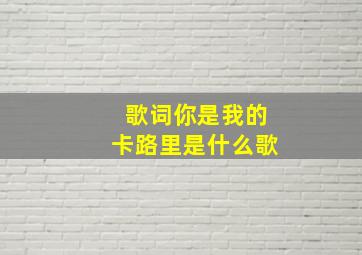 歌词你是我的卡路里是什么歌