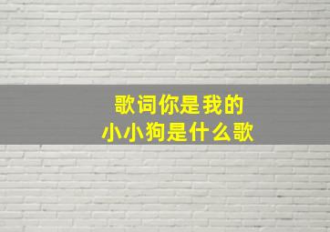 歌词你是我的小小狗是什么歌