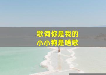 歌词你是我的小小狗是啥歌