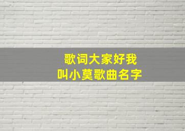 歌词大家好我叫小莫歌曲名字