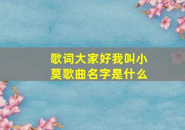 歌词大家好我叫小莫歌曲名字是什么