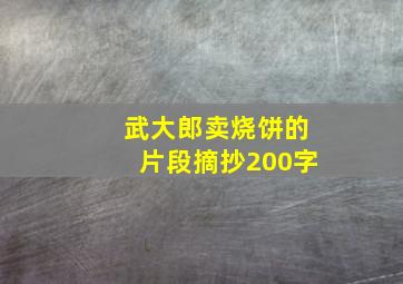 武大郎卖烧饼的片段摘抄200字