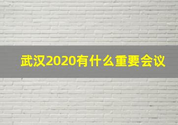 武汉2020有什么重要会议