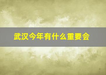 武汉今年有什么重要会