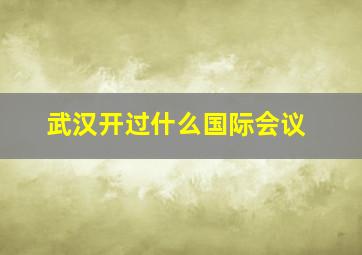 武汉开过什么国际会议