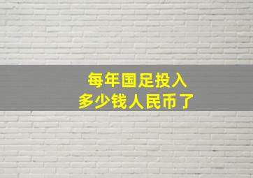 每年国足投入多少钱人民币了