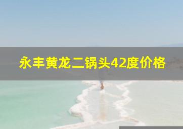 永丰黄龙二锅头42度价格