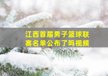 江西首届男子篮球联赛名单公布了吗视频