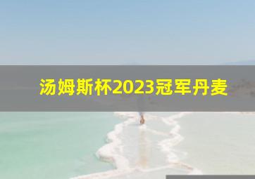 汤姆斯杯2023冠军丹麦