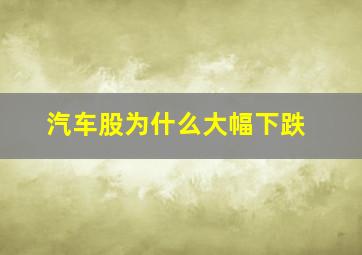 汽车股为什么大幅下跌