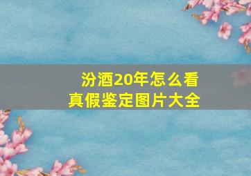 汾酒20年怎么看真假鉴定图片大全