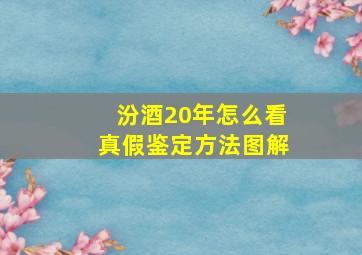 汾酒20年怎么看真假鉴定方法图解