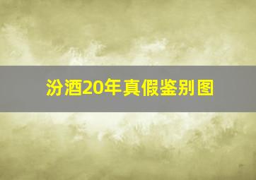 汾酒20年真假鉴别图