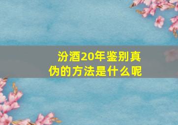 汾酒20年鉴别真伪的方法是什么呢