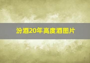 汾酒20年高度酒图片