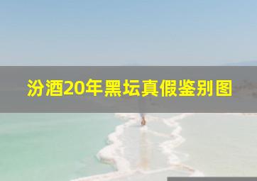 汾酒20年黑坛真假鉴别图